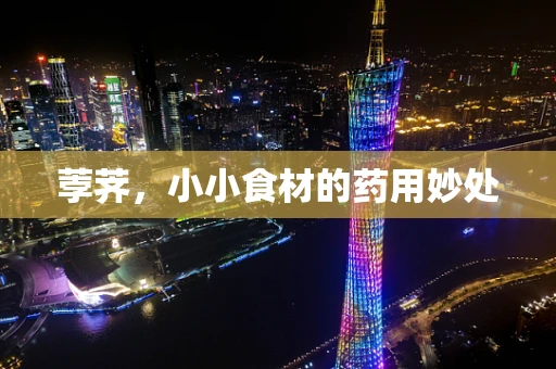 荸荠，小小食材的药用妙处