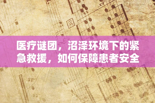 医疗谜团，沼泽环境下的紧急救援，如何保障患者安全？