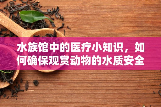 水族馆中的医疗小知识，如何确保观赏动物的水质安全？