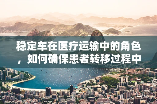稳定车在医疗运输中的角色，如何确保患者转移过程中的安全？