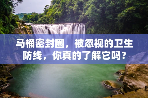 马桶密封圈，被忽视的卫生防线，你真的了解它吗？