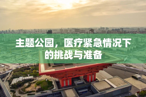 主题公园，医疗紧急情况下的挑战与准备