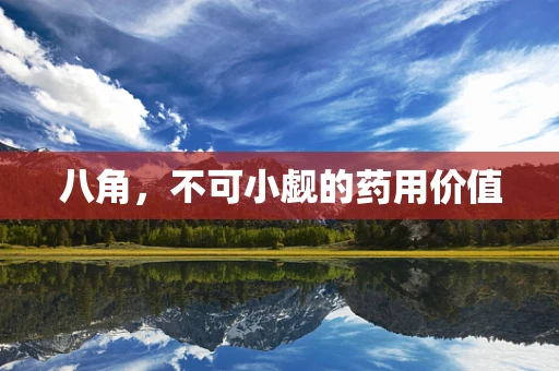八角，不可小觑的药用价值