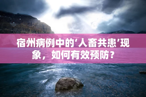 宿州病例中的‘人畜共患’现象，如何有效预防？