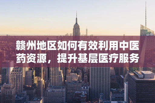 赣州地区如何有效利用中医药资源，提升基层医疗服务质量？