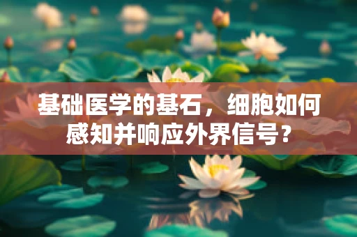 基础医学的基石，细胞如何感知并响应外界信号？