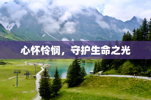 心怀怜悯，守护生命之光