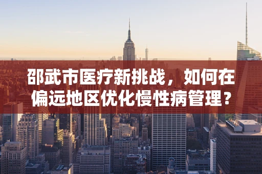 邵武市医疗新挑战，如何在偏远地区优化慢性病管理？