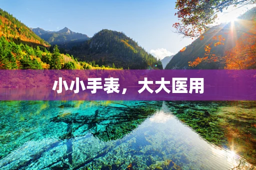 小小手表，大大医用