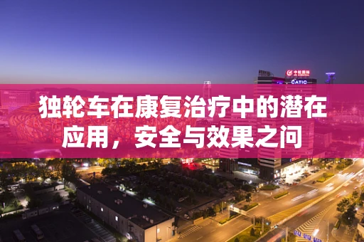 独轮车在康复治疗中的潜在应用，安全与效果之问