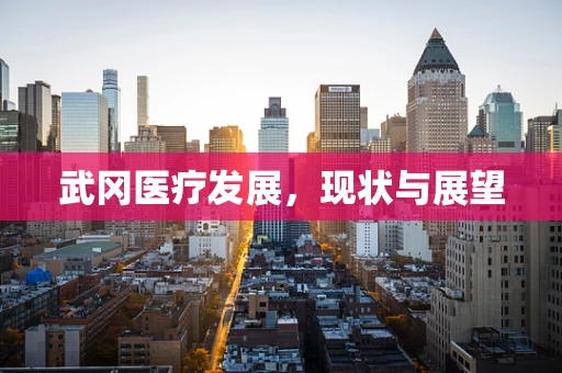 武冈医疗发展，现状与展望