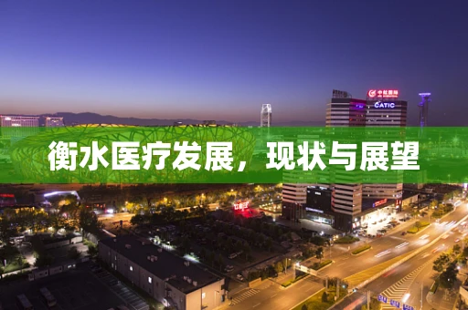 衡水医疗发展，现状与展望