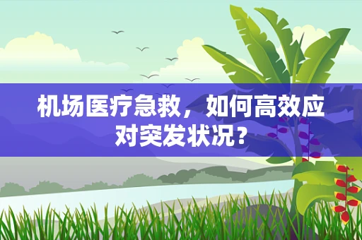 机场医疗急救，如何高效应对突发状况？