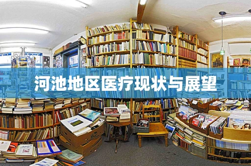 河池地区医疗现状与展望