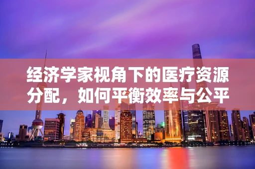 经济学家视角下的医疗资源分配，如何平衡效率与公平？