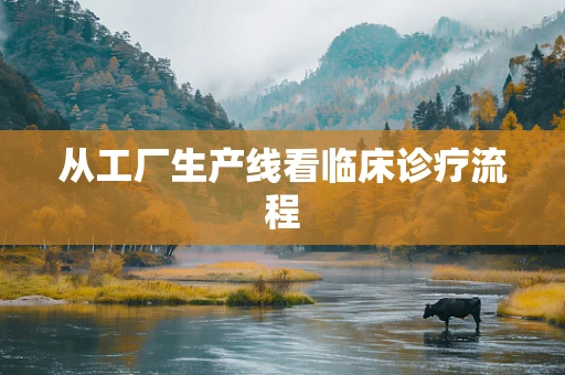 从工厂生产线看临床诊疗流程