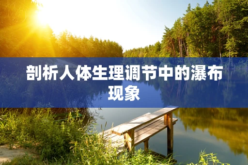 剖析人体生理调节中的瀑布现象