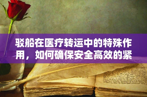 驳船在医疗转运中的特殊作用，如何确保安全高效的紧急医疗撤离？