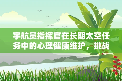 宇航员指挥官在长期太空任务中的心理健康维护，挑战与策略？