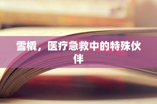 雪橇，医疗急救中的特殊伙伴