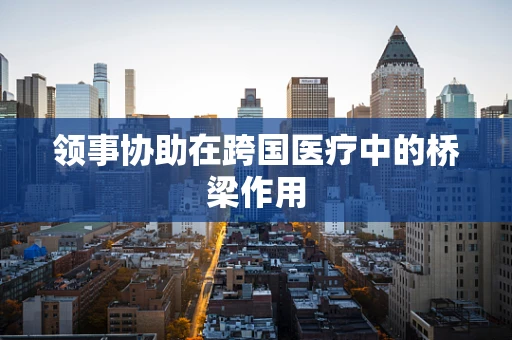 领事协助在跨国医疗中的桥梁作用