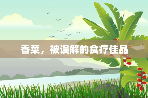 香菜，被误解的食疗佳品