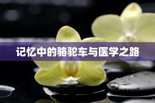 记忆中的骆驼车与医学之路