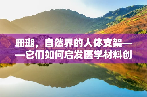 珊瑚，自然界的人体支架——它们如何启发医学材料创新？