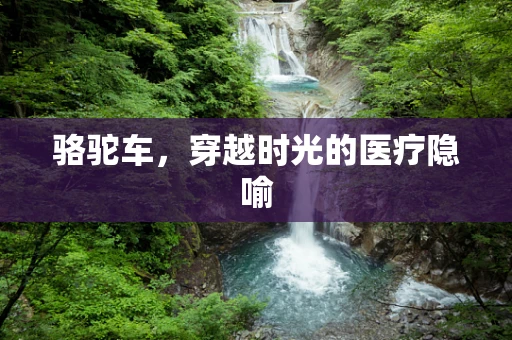 骆驼车，穿越时光的医疗隐喻