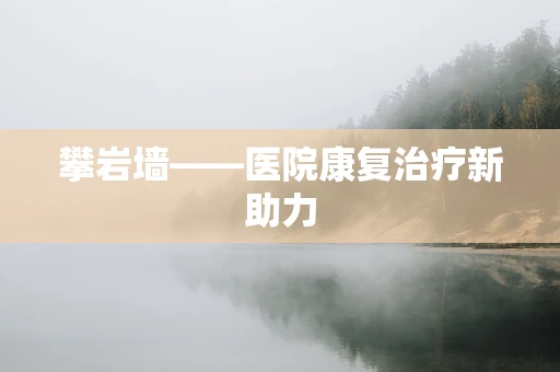 攀岩墙——医院康复治疗新助力