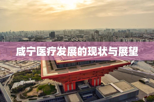 咸宁医疗发展的现状与展望