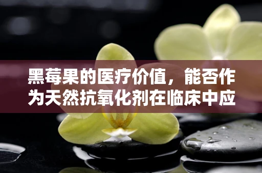 黑莓果的医疗价值，能否作为天然抗氧化剂在临床中应用？