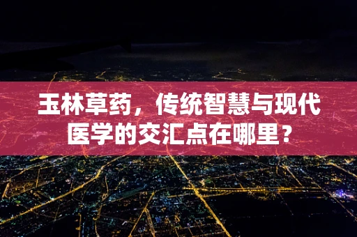 玉林草药，传统智慧与现代医学的交汇点在哪里？