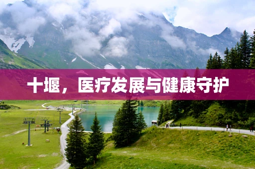 十堰，医疗发展与健康守护