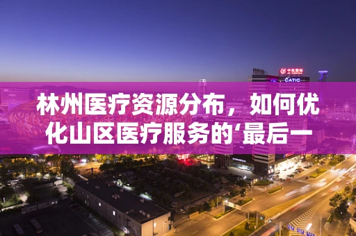 林州医疗资源分布，如何优化山区医疗服务的‘最后一公里’？