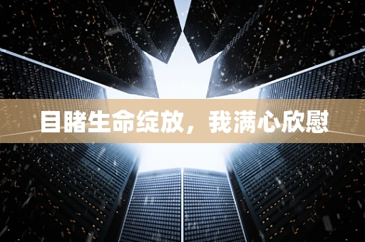 目睹生命绽放，我满心欣慰