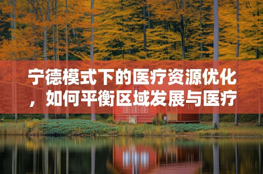 宁德模式下的医疗资源优化，如何平衡区域发展与医疗服务质量？