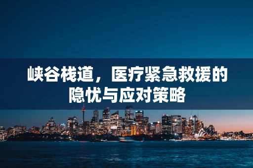 峡谷栈道，医疗紧急救援的隐忧与应对策略