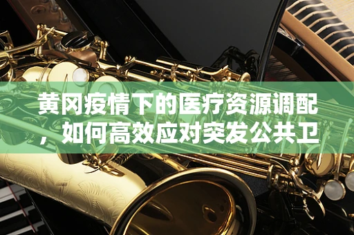 黄冈疫情下的医疗资源调配，如何高效应对突发公共卫生事件？