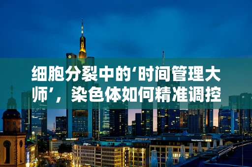 细胞分裂中的‘时间管理大师’，染色体如何精准调控？