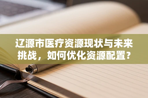 辽源市医疗资源现状与未来挑战，如何优化资源配置？