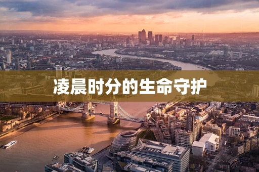凌晨时分的生命守护