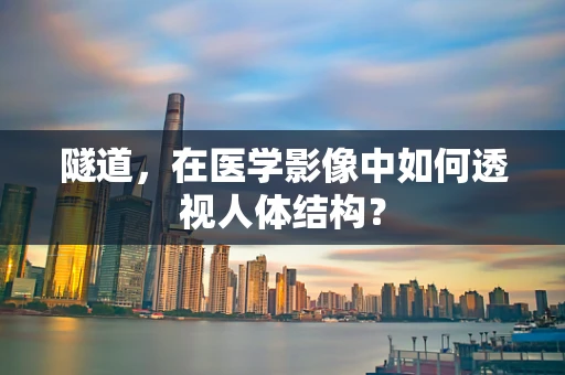 隧道，在医学影像中如何透视人体结构？