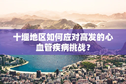十堰地区如何应对高发的心血管疾病挑战？