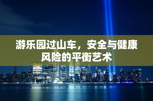 游乐园过山车，安全与健康风险的平衡艺术