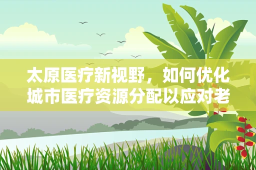 太原医疗新视野，如何优化城市医疗资源分配以应对老龄化挑战？