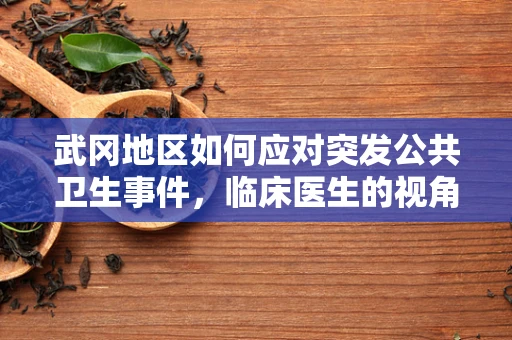 武冈地区如何应对突发公共卫生事件，临床医生的视角？