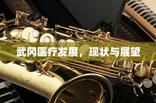 武冈医疗发展，现状与展望