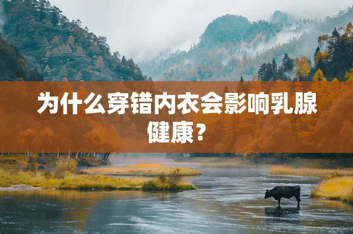 为什么穿错内衣会影响乳腺健康？
