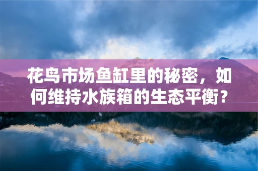 花鸟市场鱼缸里的秘密，如何维持水族箱的生态平衡？